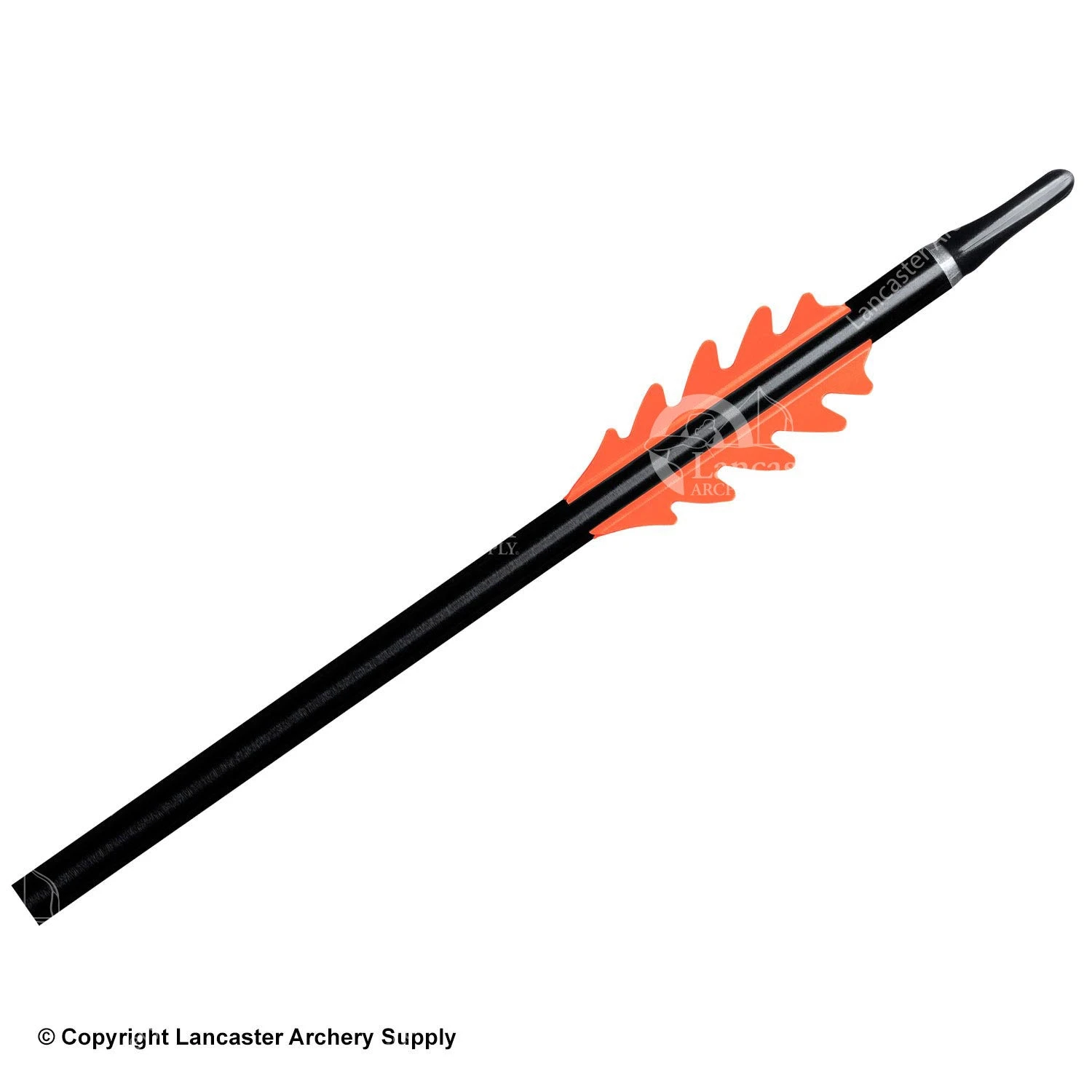 BJORN DragonFlight Vanes (2-1/4") - Image 3