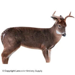 Montana Decoy The Freshman Whitetail Deer Decoy