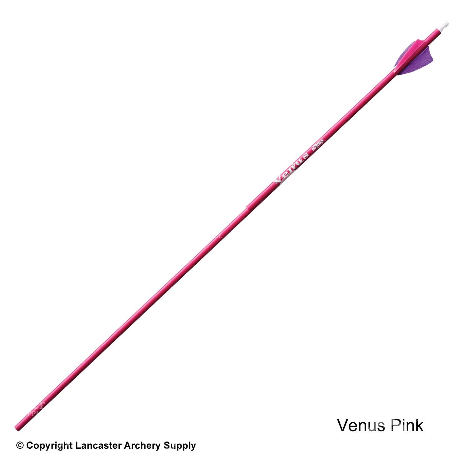 Victory Ares / Venus Youth Fletched Arrow - Image 4