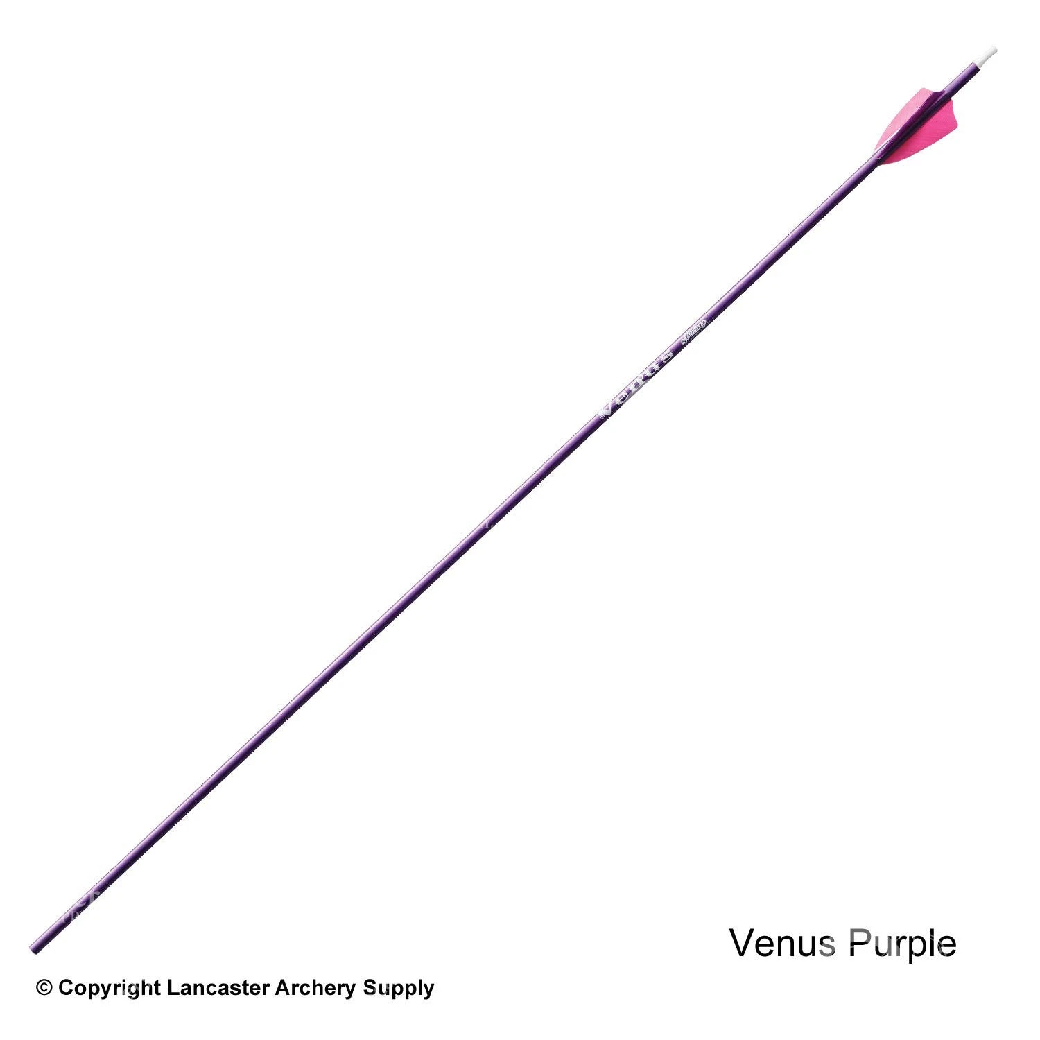 Victory Ares / Venus Youth Fletched Arrow - Image 5